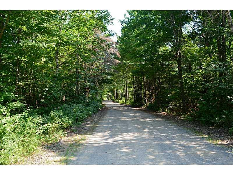 T32 Myra Road Greenbush, ME 04418 - Photo 8 of 12 Land/Lot. Road Frontage