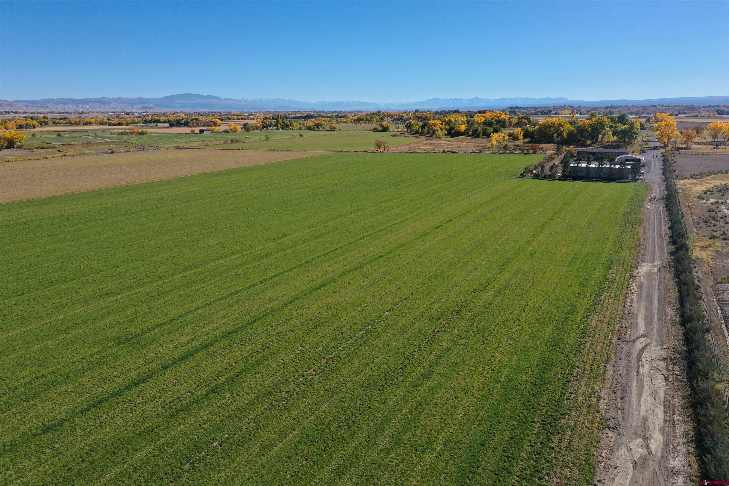 4540 Colorow Road Olathe, CO 81425 - Photo 3 of 35 Gallery Image 3