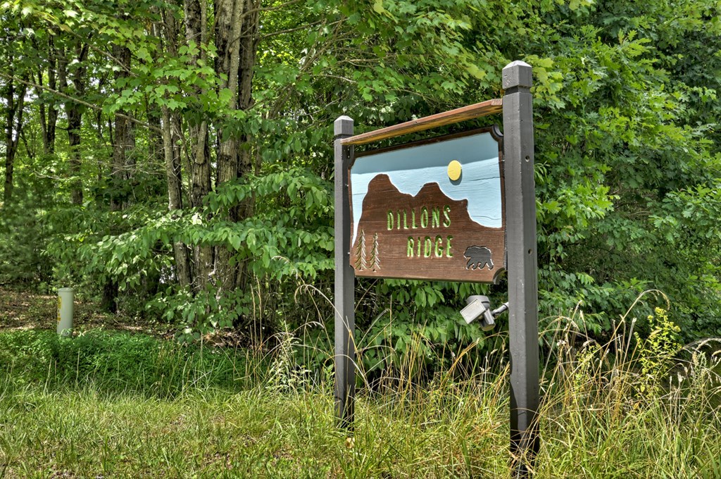 Lt C Dillons Ridge Road Morganton, GA 30560 - Photo 10 of 18 Gallery Image 10