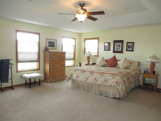 7215 Cornflower Way Spring Grove, IL 60081 - Photo 11 of 22
