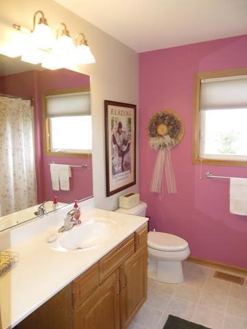 7215 Cornflower Way Spring Grove, IL 60081 - Photo 15 of 22