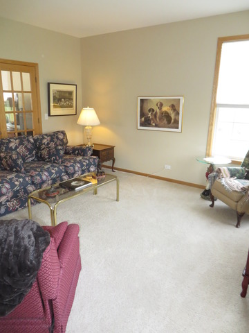 7215 Cornflower Way Spring Grove, IL 60081 - Photo 4 of 22