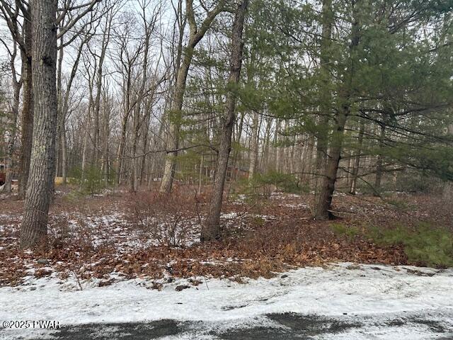 Lot 6 Sagamore Road Shohola, PA 18458 - Photo 2 of 5
