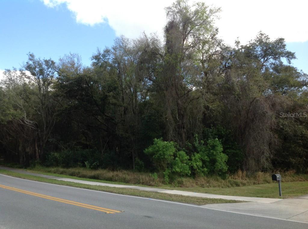 0 Park Ridge Gotha Road Windermere, FL 34786 - Photo 1 of 1