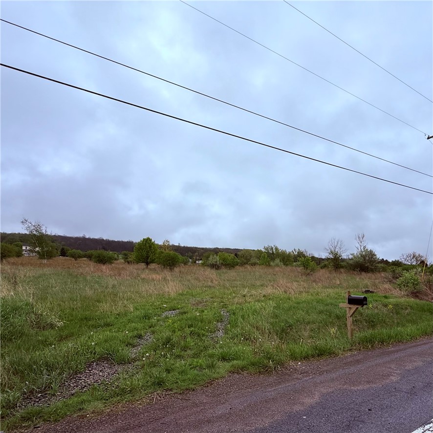 0 Reeds Corners Road Dansville, NY 14437 - Photo 2 of 13