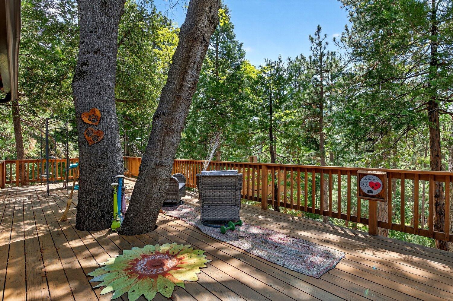 52230 Sylvan Way Idyllwild, CA 92549 - Photo 29 of 35 a view of a bench in a yard