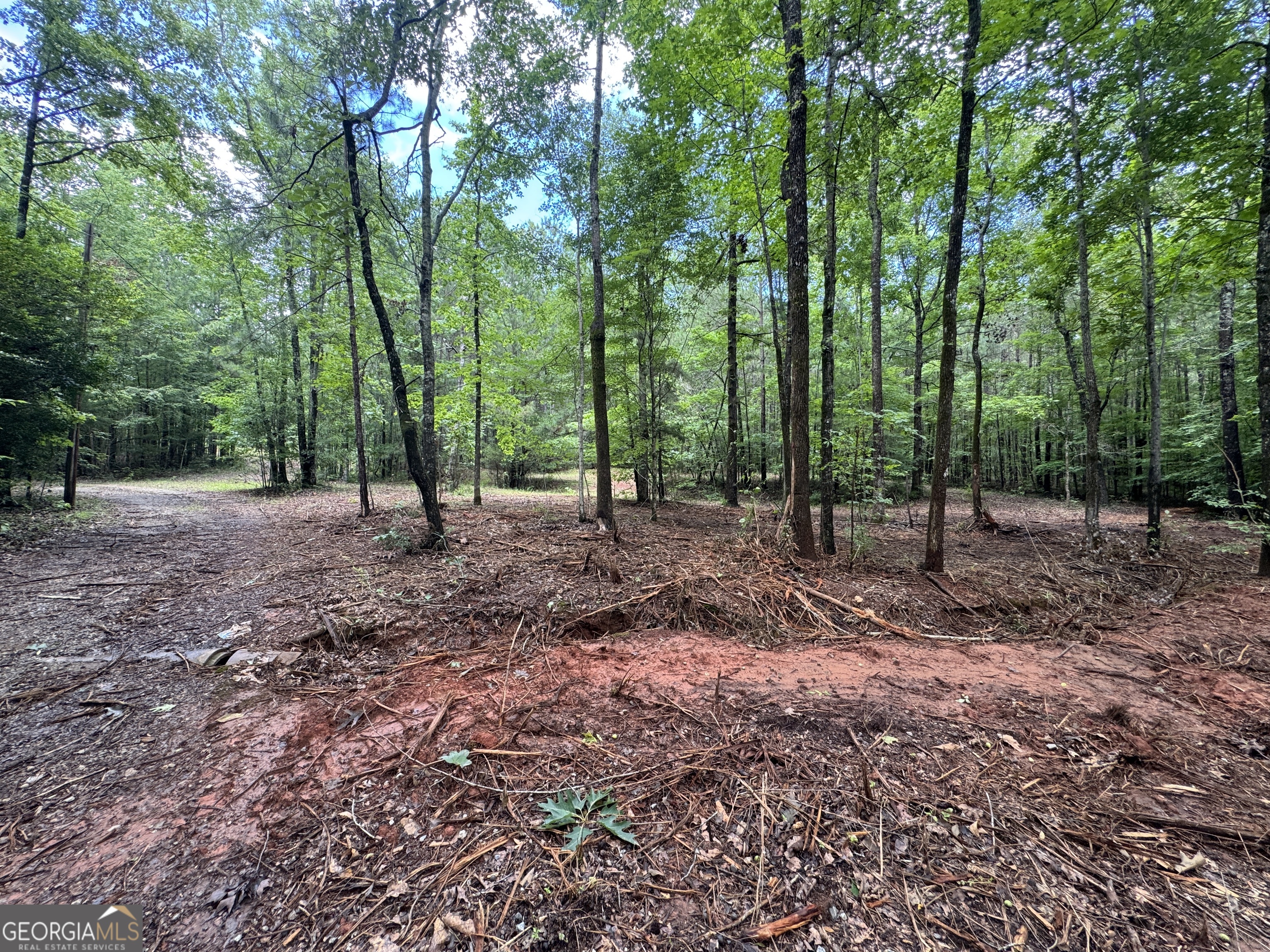 3413 Dames Ferry Road Forsyth, GA 31029 - Photo 12 of 23