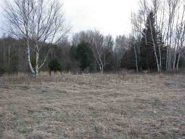 0 Downington Road Deckerville, MI 48427 - Photo 4 of 17 31050618-3.JPG