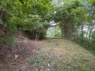 Lot 30 Hickory Cove Road Bryson City, NC 28713 - Photo 3 of 5