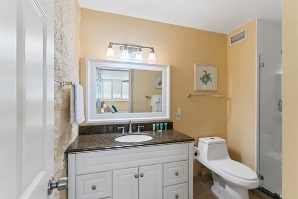 a bathroom with a granite countertop toilet sink and mirror