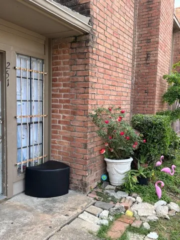 a view of a potted plant in front of a house