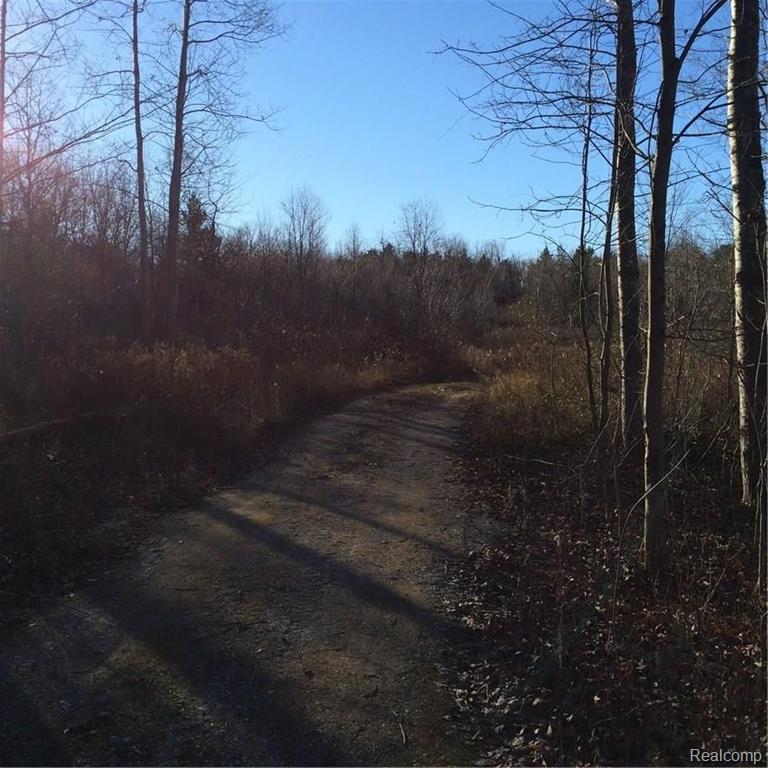 0 Ewalt Road Imlay City, MI 48444 - Photo 11 of 12