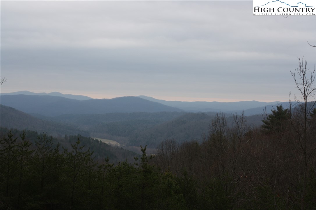 477 Cabin Ridge Road Ferguson, NC 28624 - Photo 14 of 15