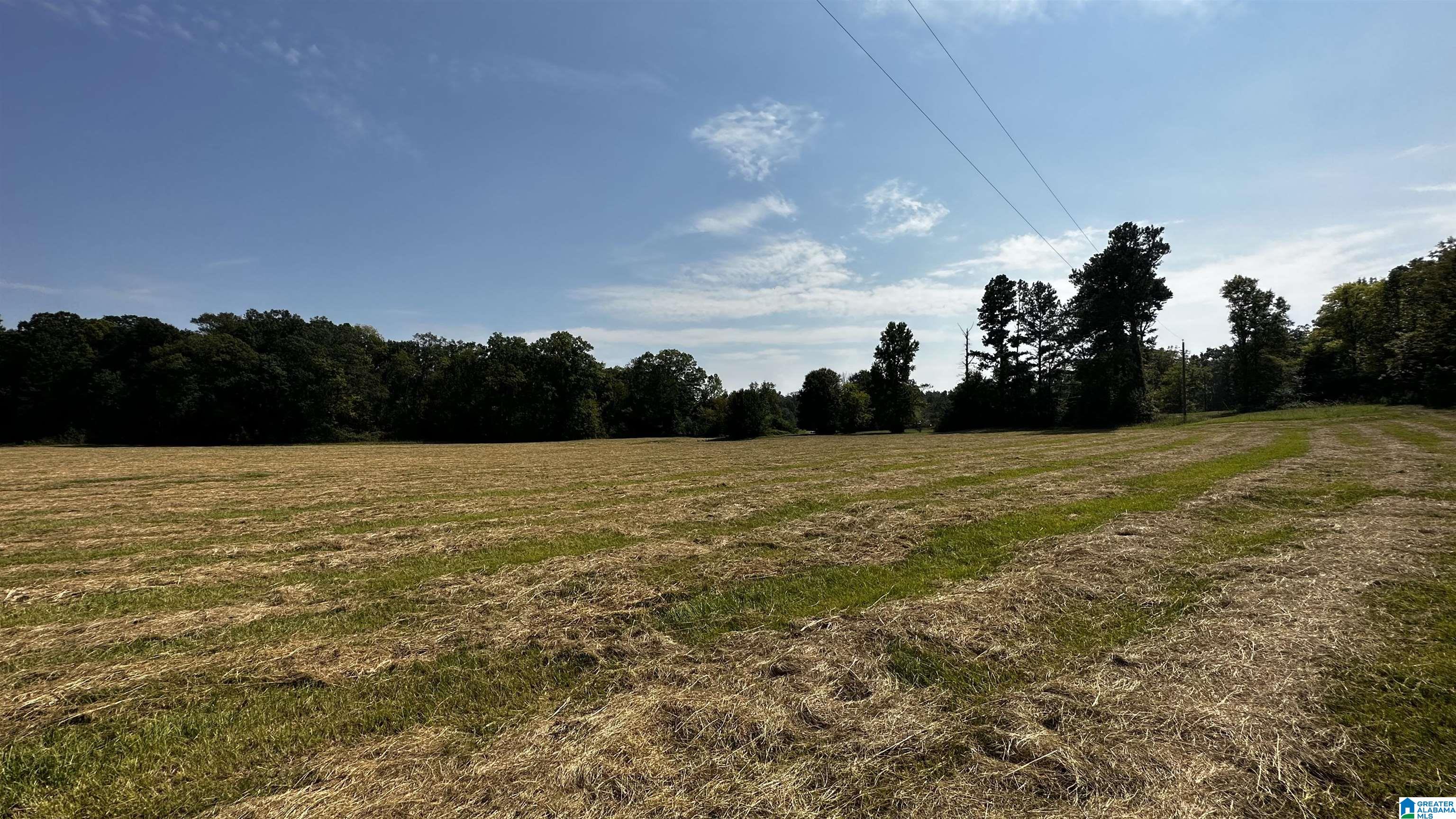 0 Rock School Road Harpersville, AL 35078 - Photo 6 of 15