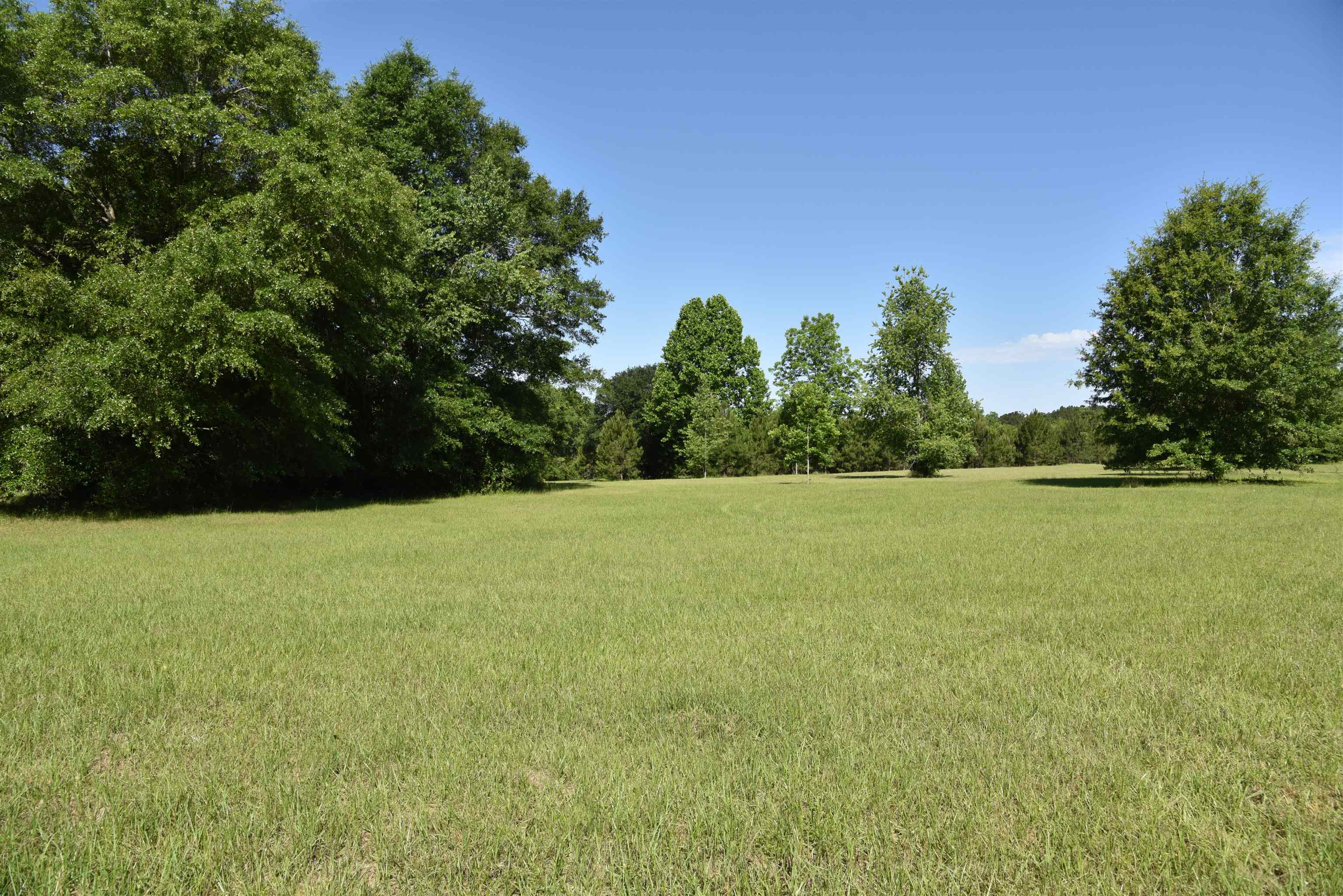 Solomon Dairy Road Quincy, FL 32352 - Photo 7 of 36