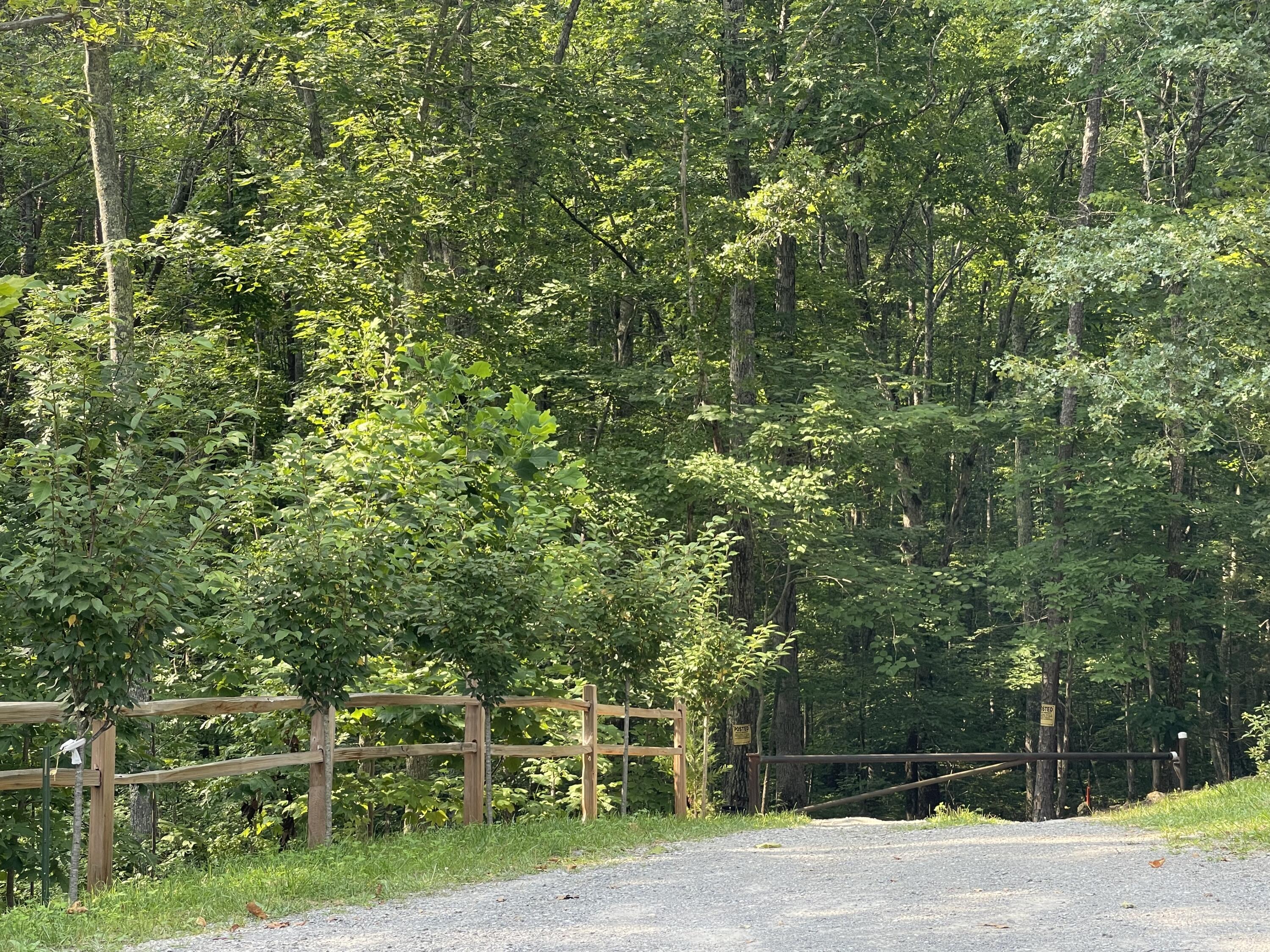 0 Big Spring Gap Road Crossville, TN 38572 - Photo 1 of 11 B5080138-58C1-44CE-96BC-FE51FEDBA8BD