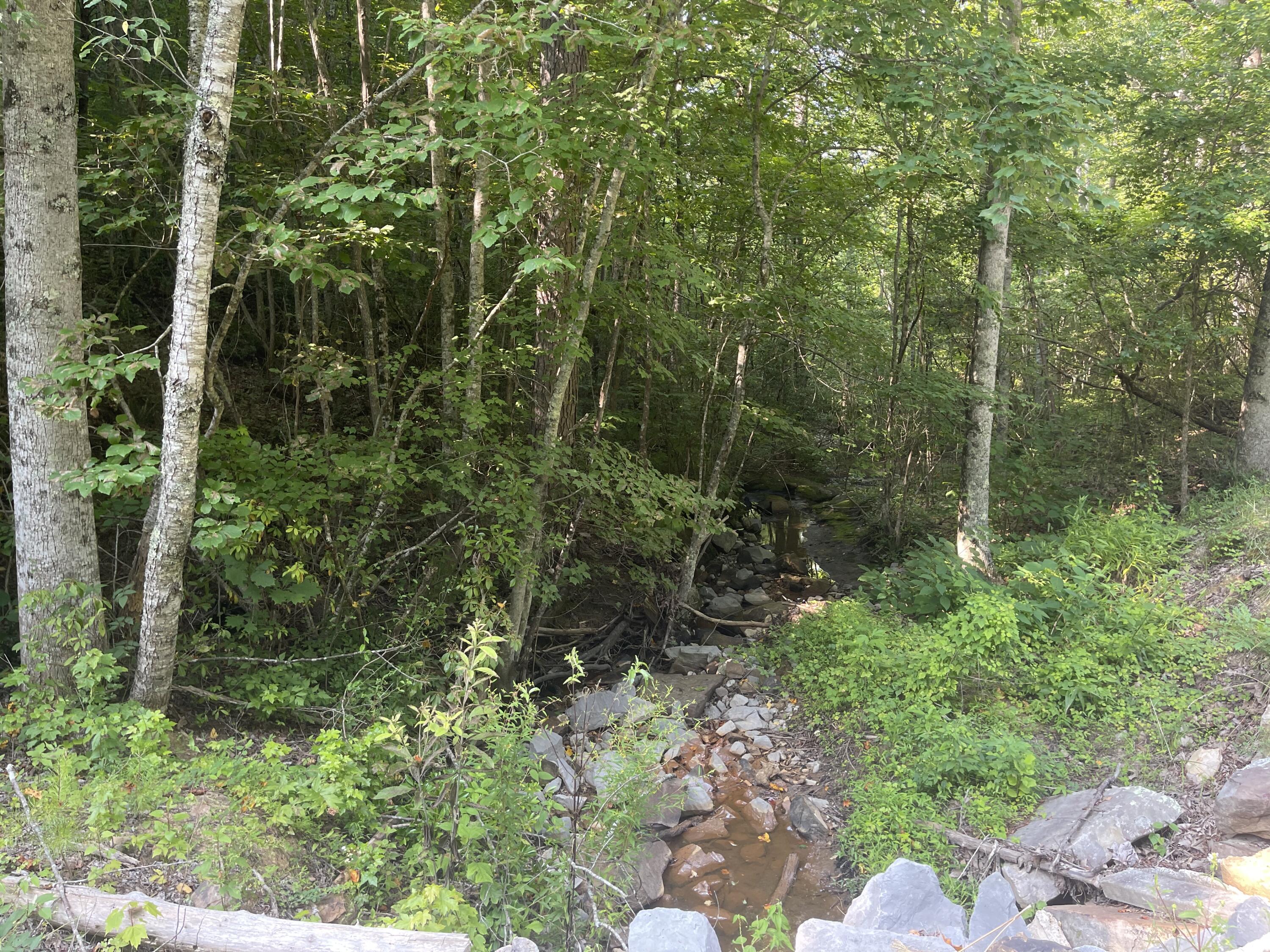 0 Big Spring Gap Road Crossville, TN 38572 - Photo 6 of 11 126882A0-3B8E-4A1C-AEDD-E49755DF6FFA