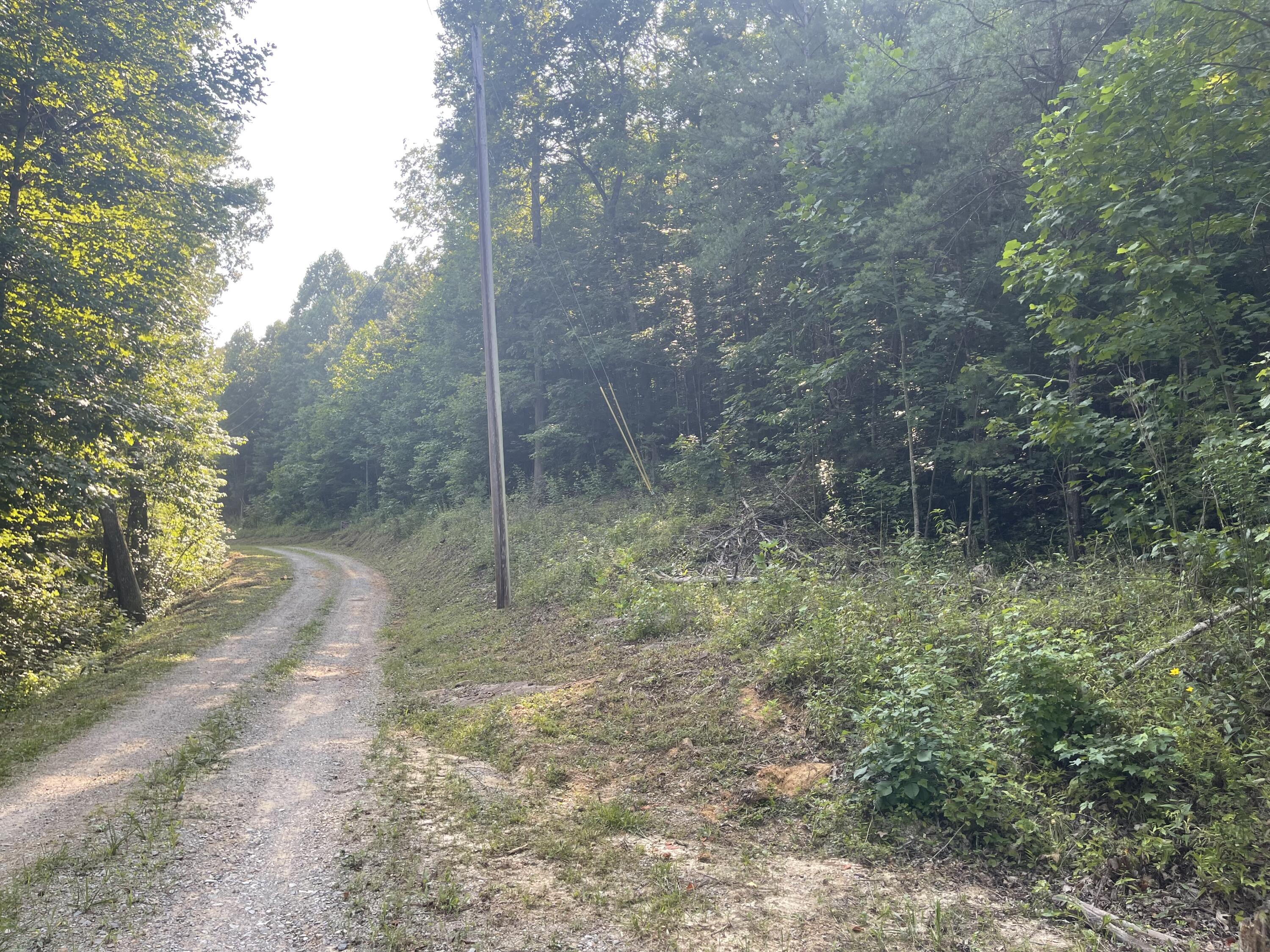 0 Big Spring Gap Road Crossville, TN 38572 - Photo 7 of 11 A0077877-8040-41C1-B086-96A655485CA1