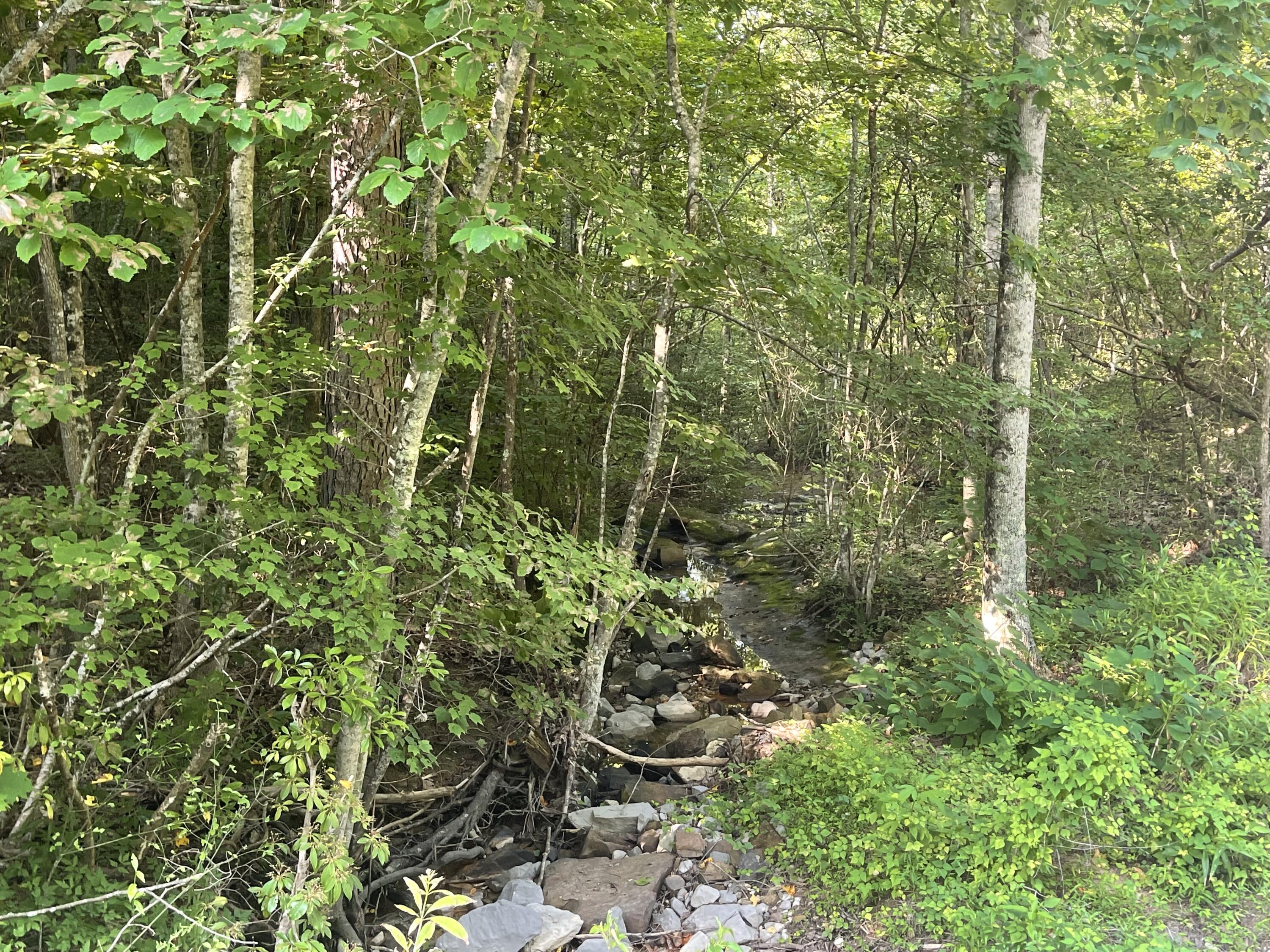 0 Big Spring Gap Road Crossville, TN 38572 - Photo 8 of 11 C5781493-0F54-456D-8577-ECAAD5ADEE72