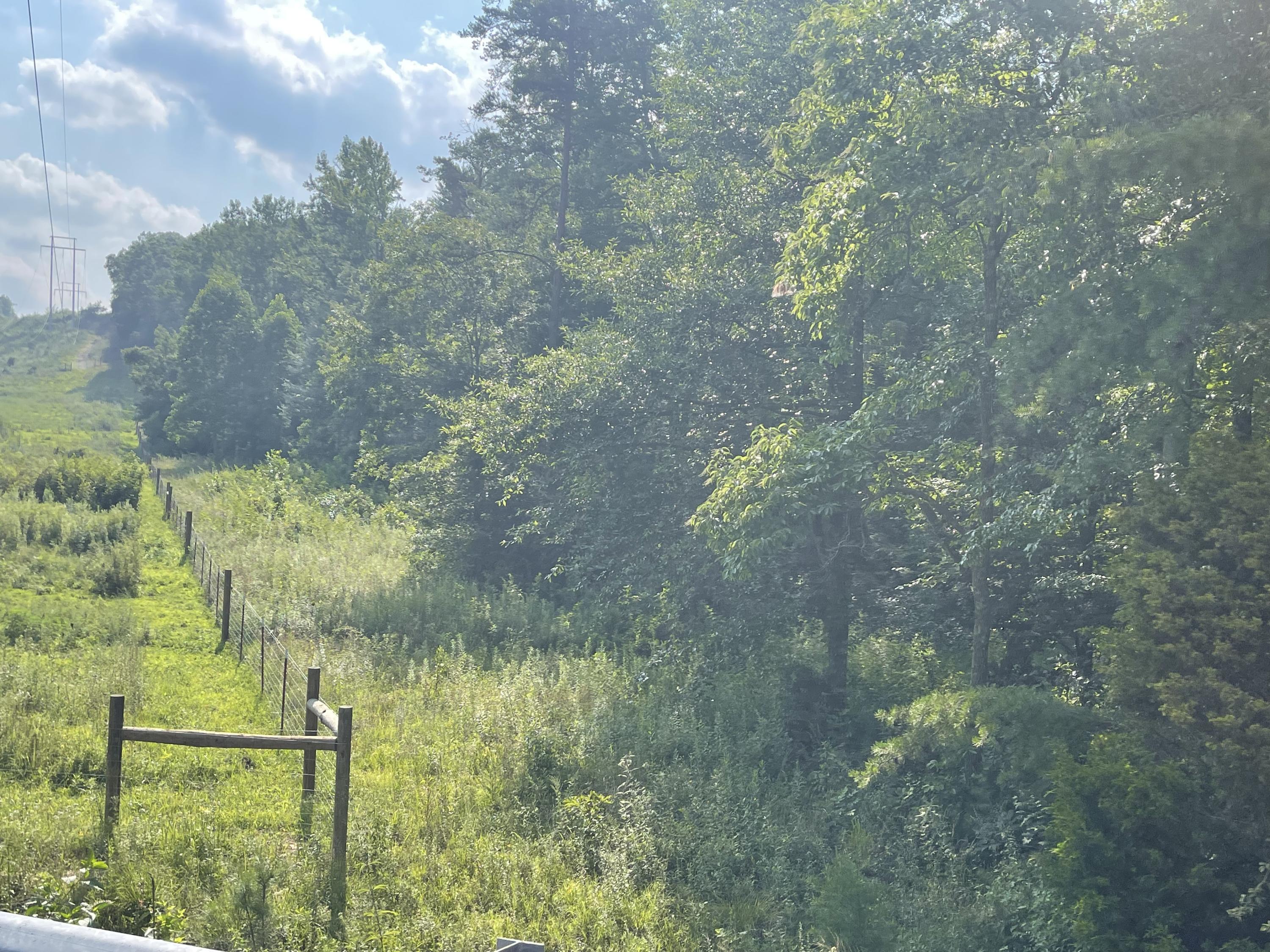 0 Big Spring Gap Road Crossville, TN 38572 - Photo 9 of 11 5931CDC6-8189-4D7C-812F-25CA0726A59A