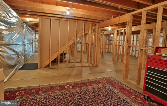 a view of a yard with plants and trees