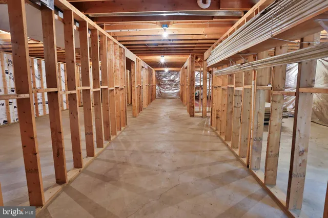 a view of a yard with large trees