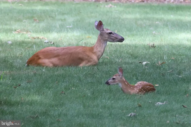 $729,999 | 13608 South General Slocum Court, Fredericksburg, VA 22407