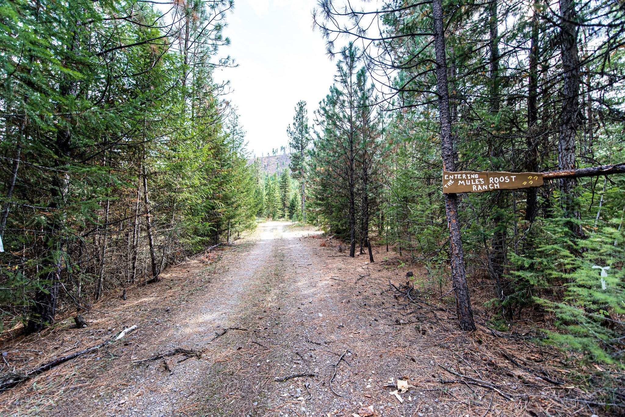 814 Quartz Road Superior, MT 59872 - Photo 3 of 58 Gallery Image 3