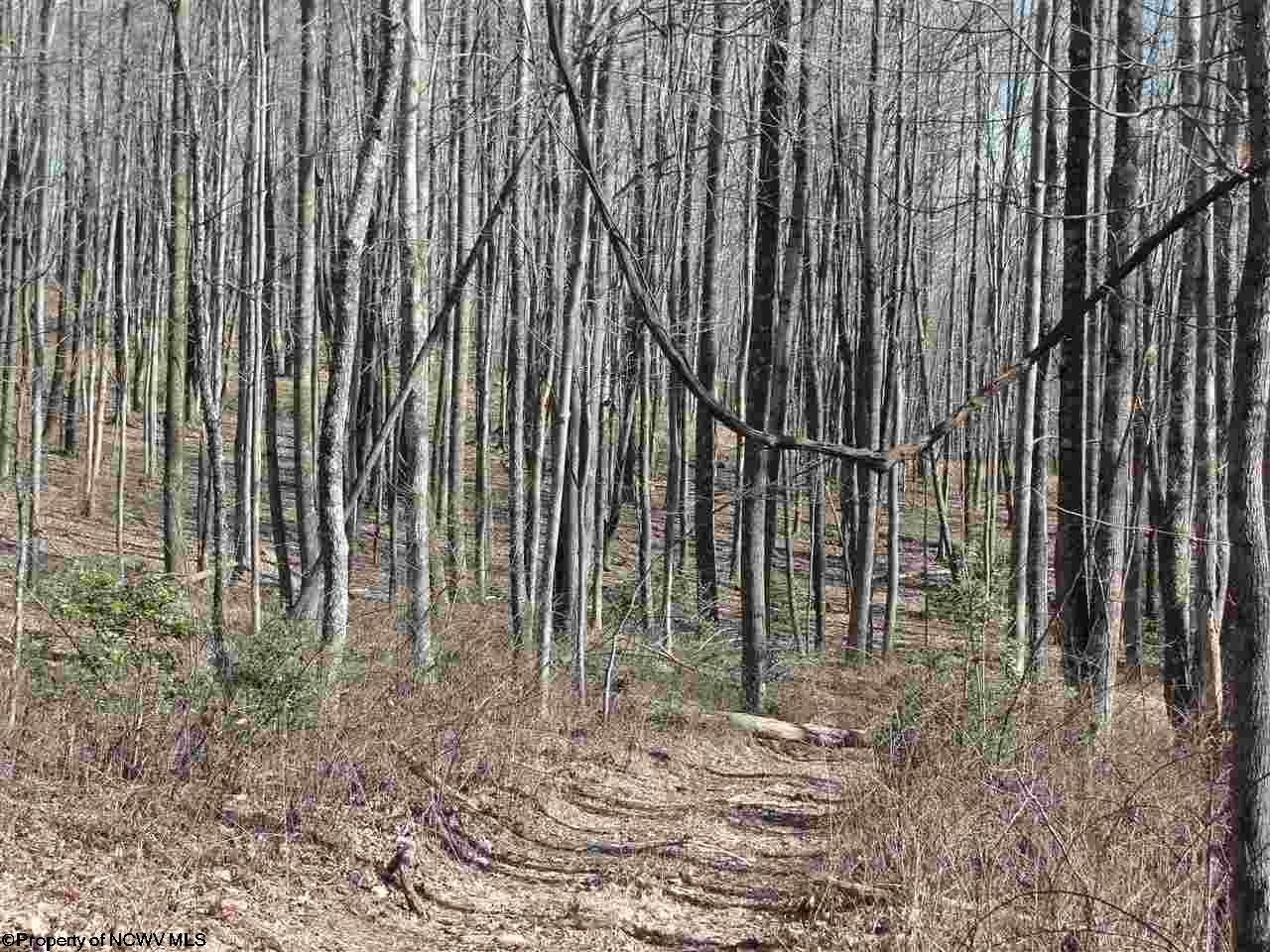 Foster Street Buckhannon, WV 26201 - Photo 12 of 15 Gallery Image 12
