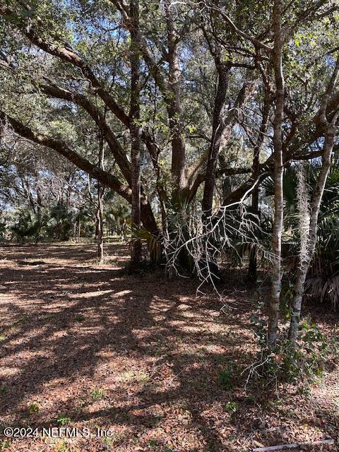 13 Southeast 265th Court Road Umatilla, FL 32784 - Photo 21 of 46 a view of outdoor space with trees