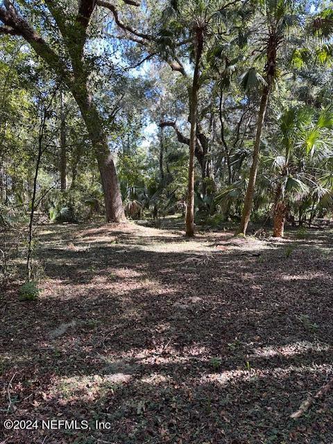 13 Southeast 265th Court Road Umatilla, FL 32784 - Photo 26 of 46 a view of outdoor space with trees