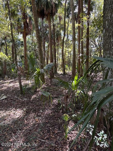 13 Southeast 265th Court Road Umatilla, FL 32784 - Photo 27 of 46 a backyard of a house with lots of green space