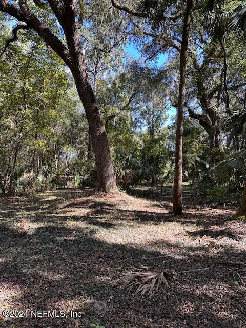 13 Southeast 265th Court Road Umatilla, FL 32784 - Photo 28 of 46 a view of a yard with trees
