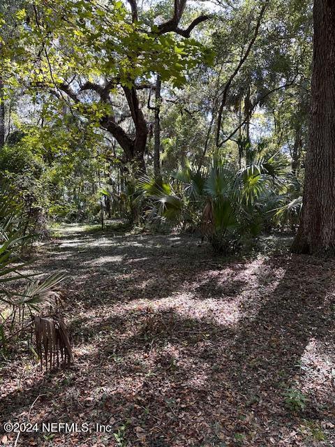 13 Southeast 265th Court Road Umatilla, FL 32784 - Photo 29 of 46 a big yard with lots of green space