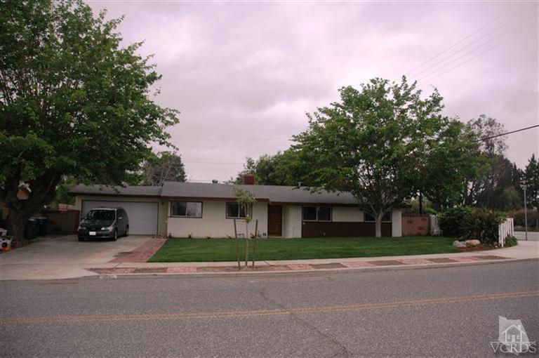 Primary Photo