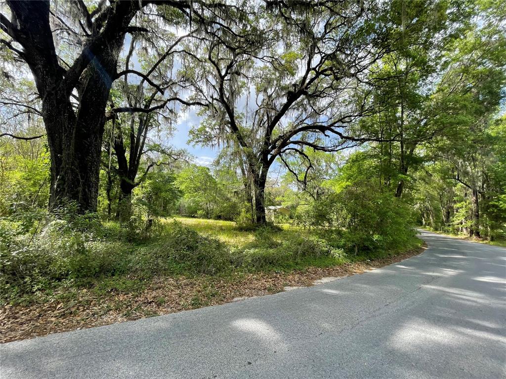 a backyard of a house with lots of green space