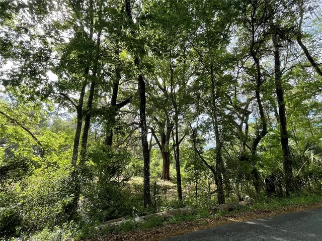 an outdoor space with lots of trees