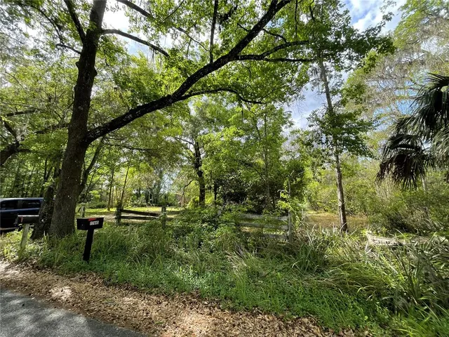 a view of outdoor space and garden