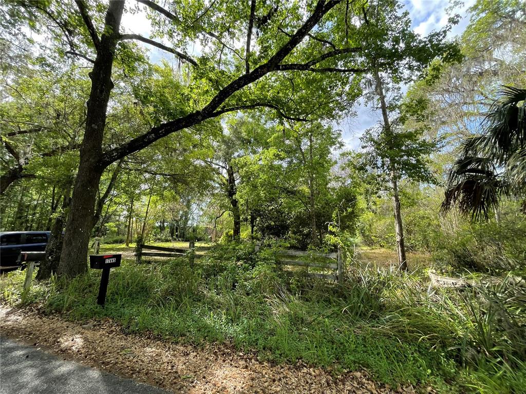 17400 Northwest 120th Ave Road Reddick, FL 32686 - Photo 13 of 20 a view of outdoor space and garden