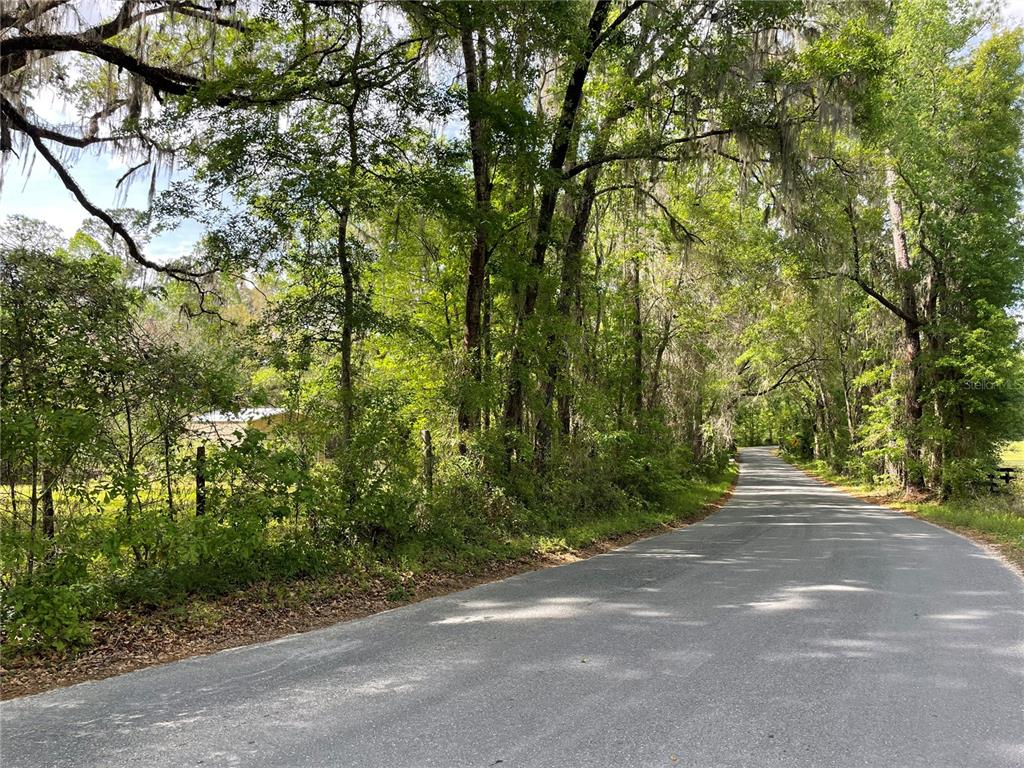 17400 Northwest 120th Ave Road Reddick, FL 32686 - Photo 15 of 20 a view of road and trees