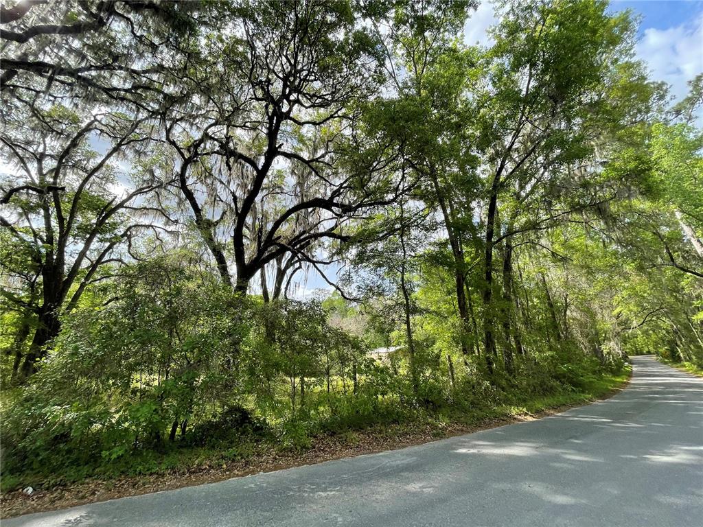 17400 Northwest 120th Ave Road Reddick, FL 32686 - Photo 16 of 20 a pathway of a yard