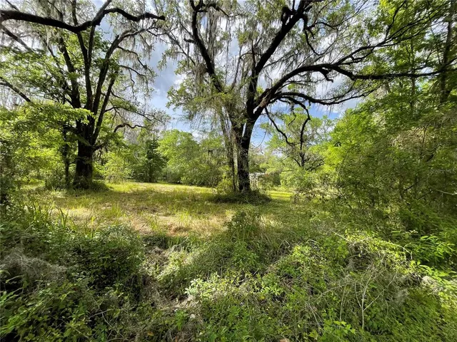 a view of yard with green space