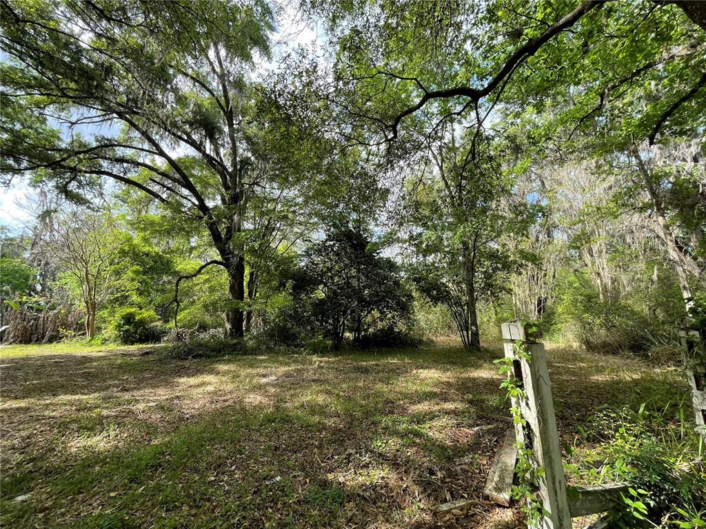 17400 Northwest 120th Ave Road Reddick, FL 32686 - Photo 20 of 20 a view of outdoor space and yard