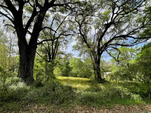 a view of yard with green space