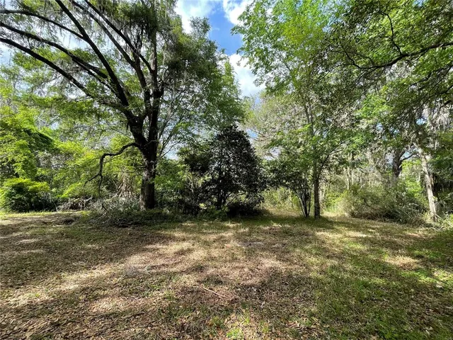 a view of an outdoor space with yard