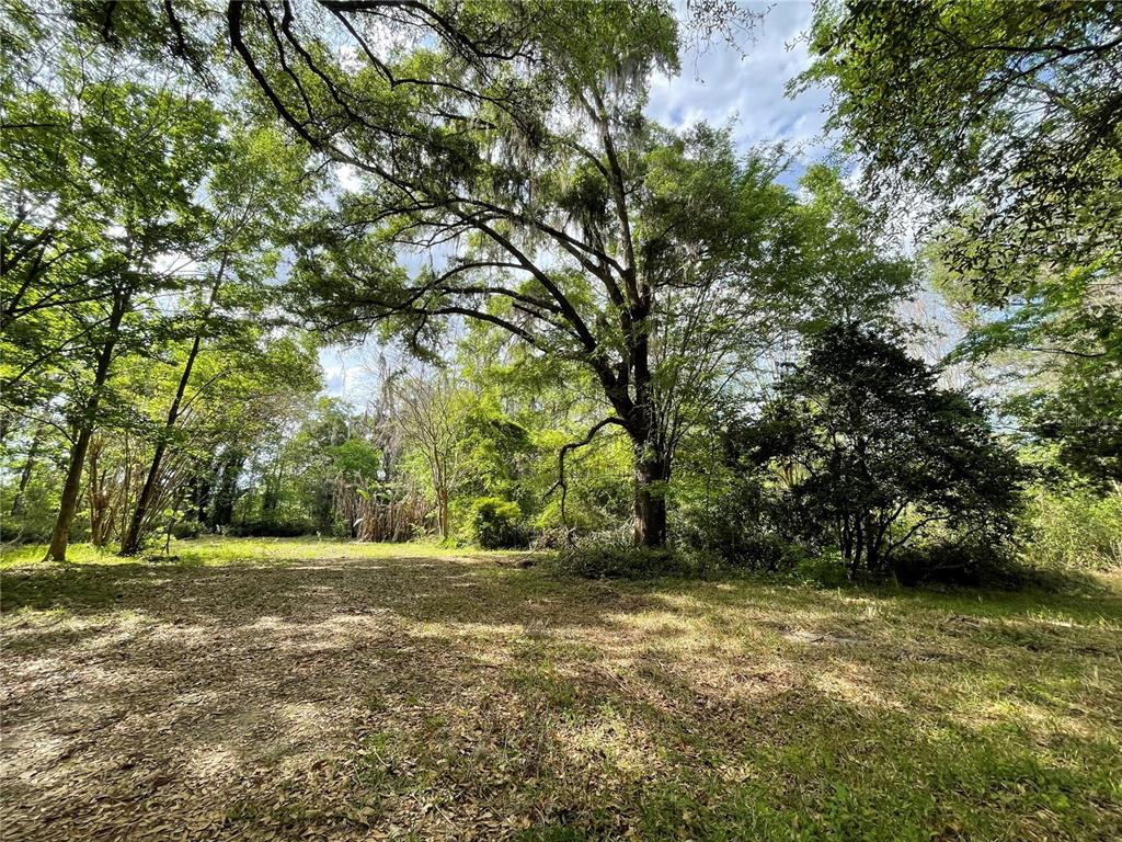 17400 Northwest 120th Ave Road Reddick, FL 32686 - Photo 5 of 20 a view of outdoor space with deck and yard