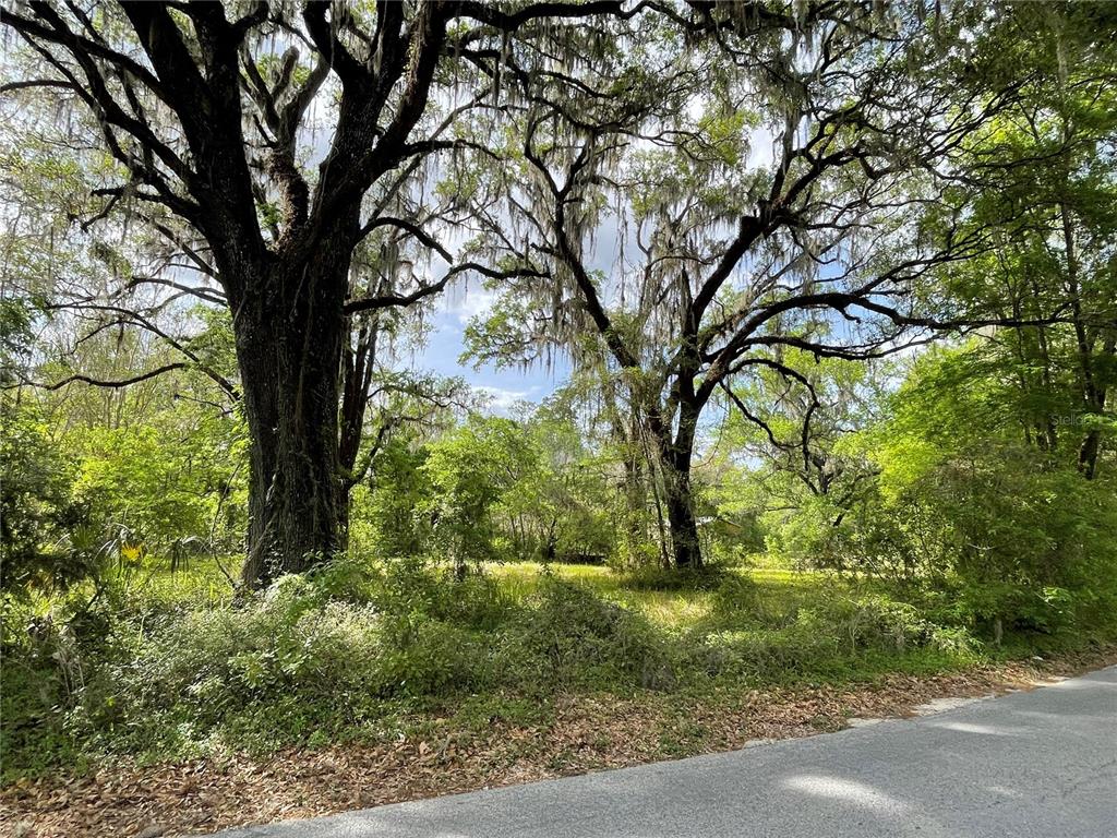 17400 Northwest 120th Ave Road Reddick, FL 32686 - Photo 6 of 20 a view of backyard with green space