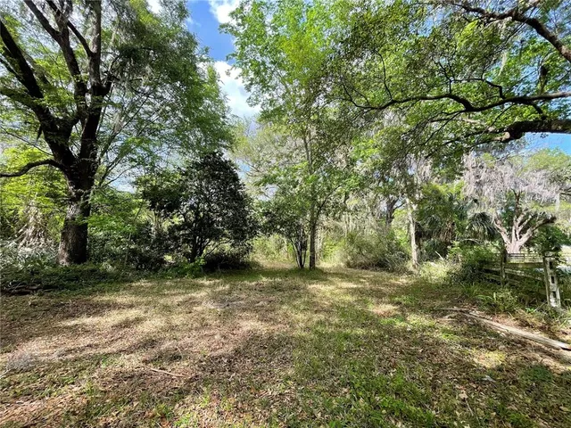 a view of a tree in a yard