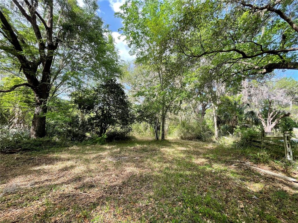 17400 Northwest 120th Ave Road Reddick, FL 32686 - Photo 7 of 20 a view of a tree in a yard