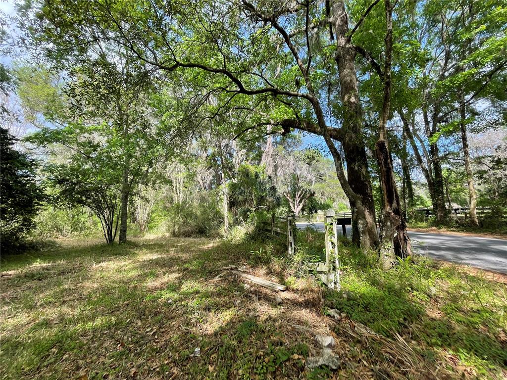 17400 Northwest 120th Ave Road Reddick, FL 32686 - Photo 8 of 20 a backyard of a house with lots of green space